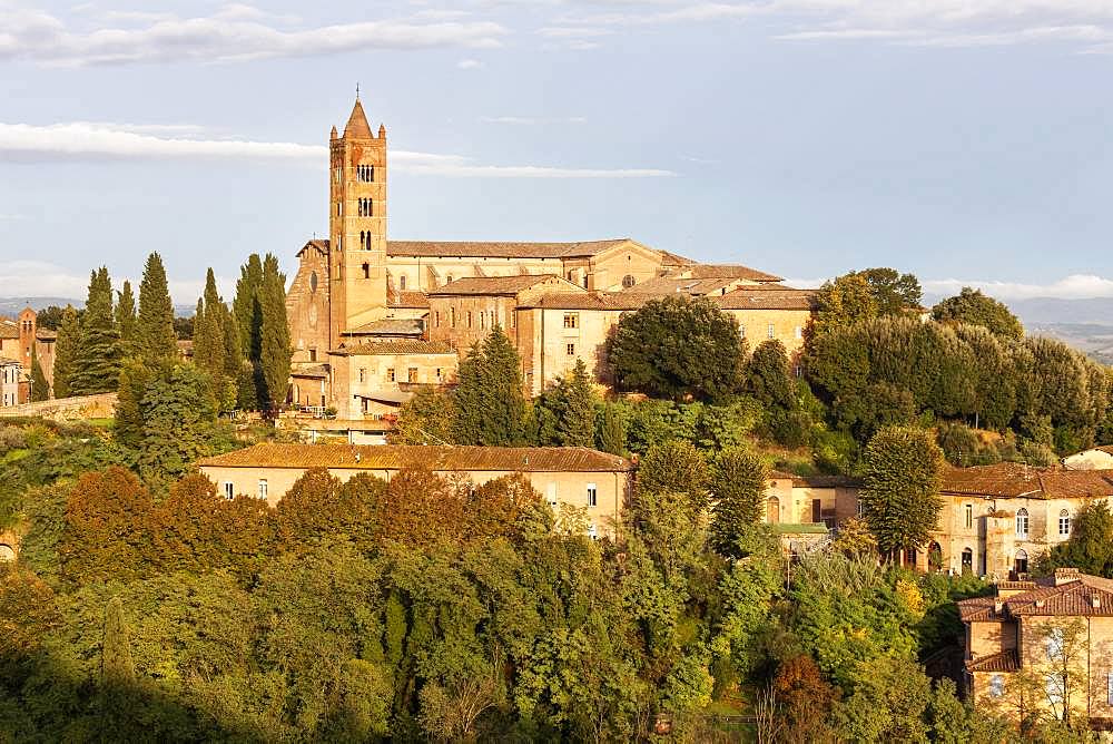 Basilica di San Clemente in Santa Maria dei Servi, Siena, Tuscany, Italy, Europe