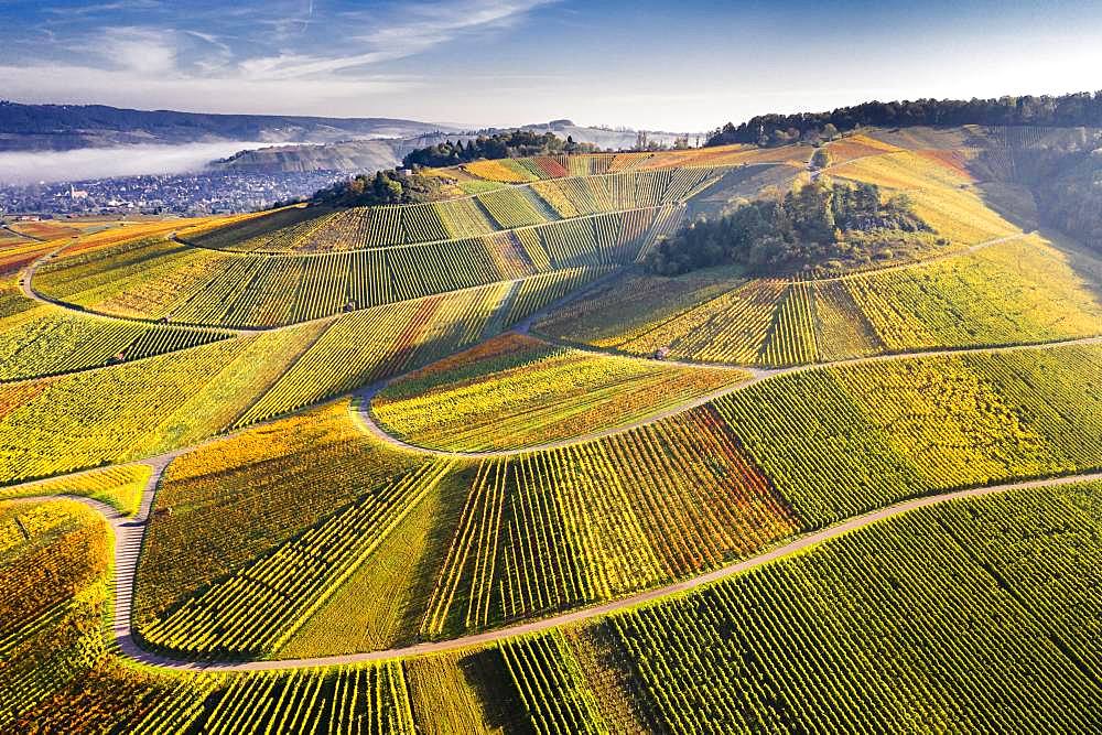 Drone shot, vineyards in autumn, near Struempfelbach, Remstal, Baden-Wuerttemberg, Germany, Europe