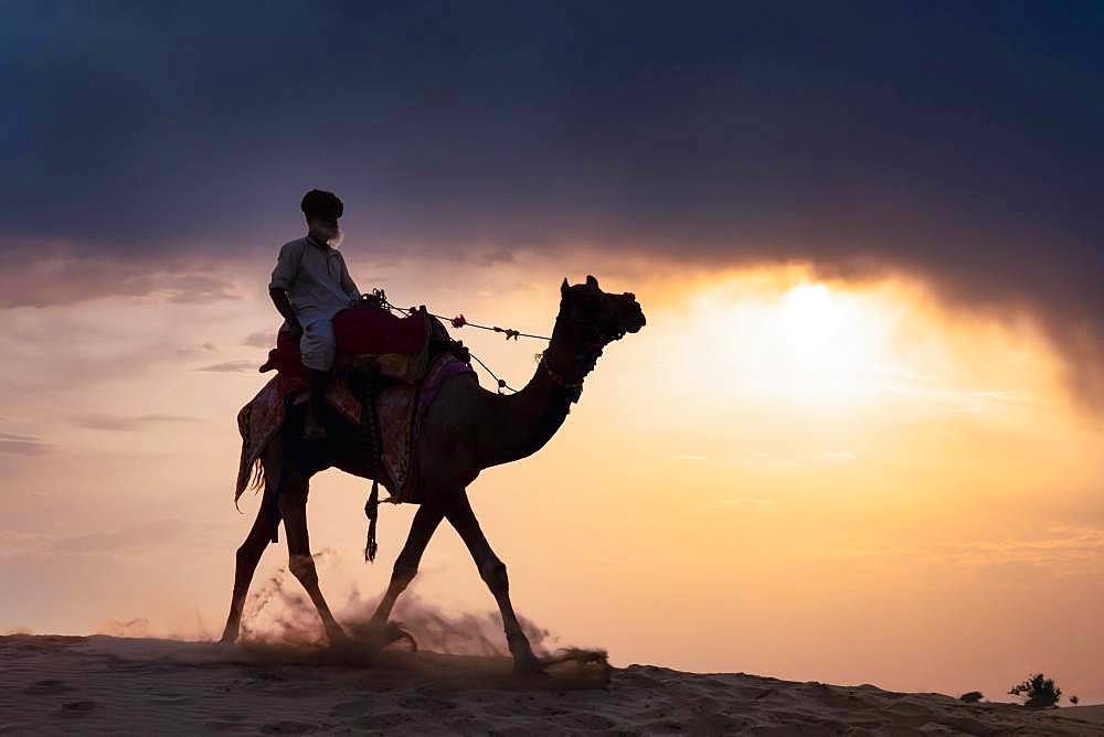 Elderly man riding on a camel in the Thar desert at sunset, Rajasthan, India, Asia