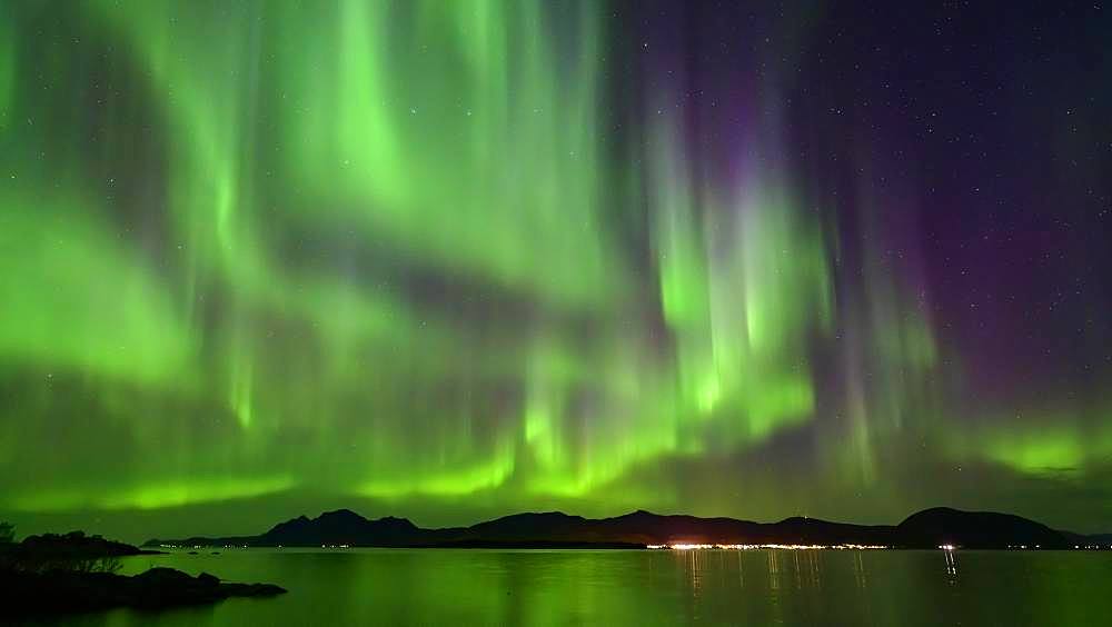 Northern Lights on the coast (Aurora borealis), Lofoten, Norway, Europe