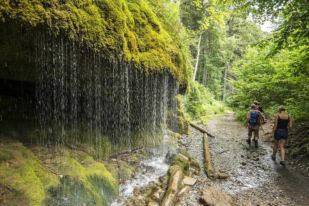 Hikers, Moss covered rocks and waterfall, Wutach gorge, Bonndorf, Baden-Wuerttemberg, Black Forest, Germany, Europe