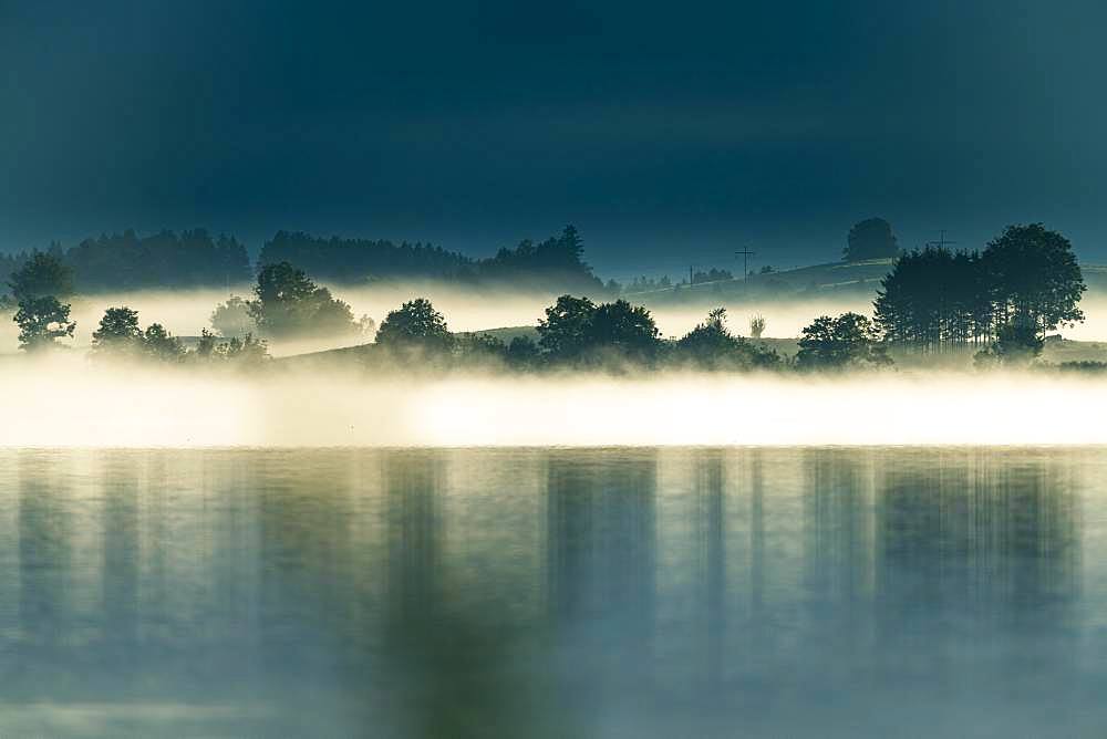 Lake Forggensee with small group of trees in fog, Fuessen, Swabia, Bavaria, Germany, Europe