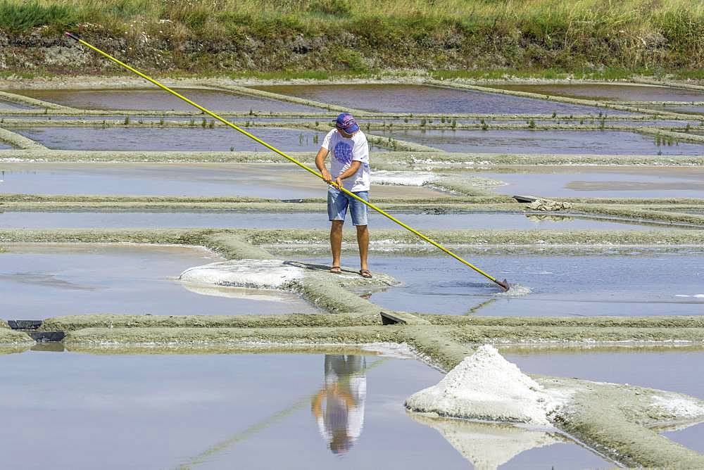 Man skimming salt, Salines de Guerande, Guerande, Departement Loire-Atlantique, France, Europe