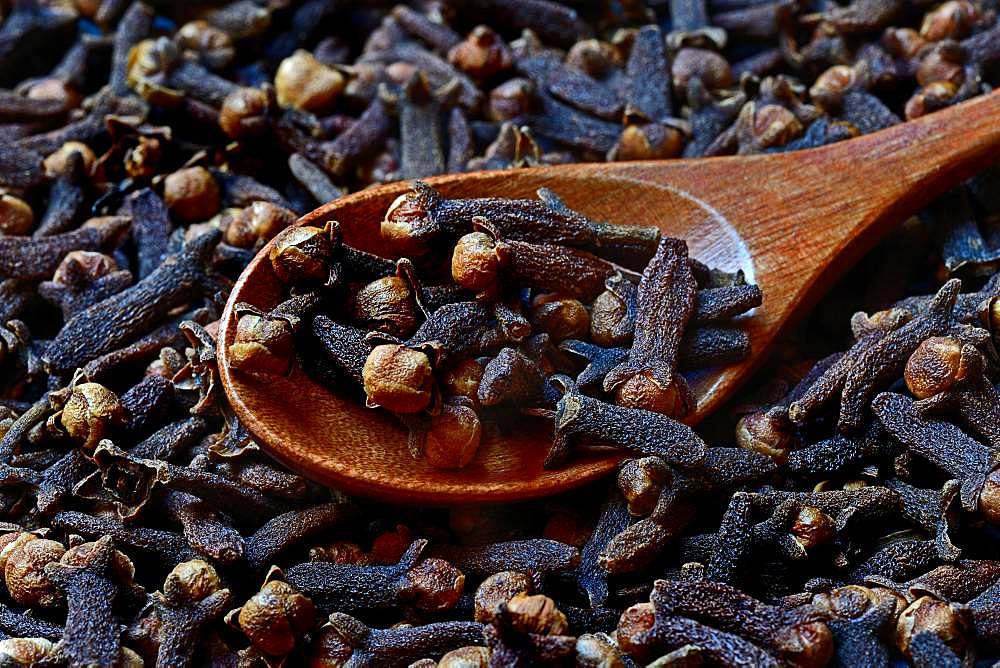 Cloves in wooden spoon, Germany, Europe