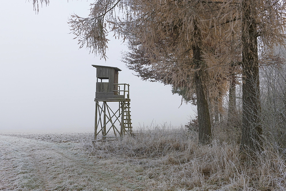 Hunter's blind at the edge of the forest in morning fog, Baden-Wuerttemberg, Germany, Europe