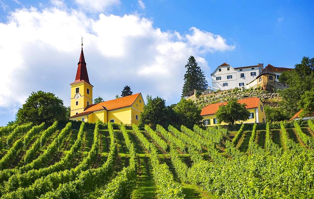 Vineyard with Kapfenstein Castle, Kapfenstein, South Styrian wine country, Styrian thermal spa country, Styria, Austria, Europe