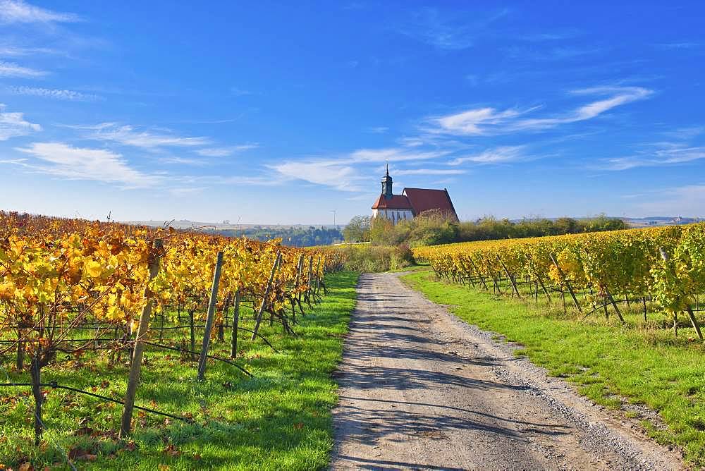 Pilgrimage Church of Maria im Weingarten, Volkach, Mainfranken, Lower Franconia, Franconia, Bavaria, Germany, Europe