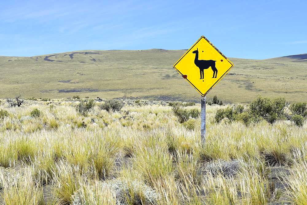 Steppe with shield Attention Llama, Reserva La Payunia, Province Mendoza, Argentina, South America