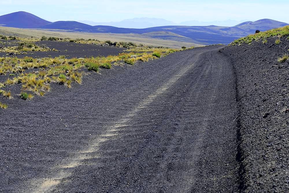 Track through volcanic lunar landscape, Reserva La Payunia, Province of Mendoza, Argentina, South America