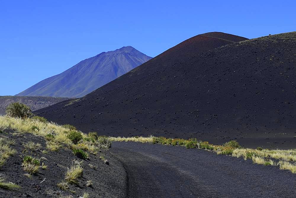 Track through volcanic lunar landscape, Payun Volcano in the background, Reserva La Payunia, Mendoza Province, Argentina, South America