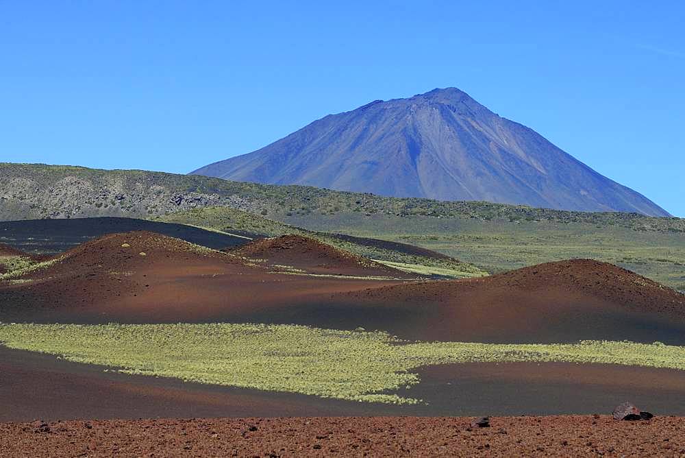 Volcanic lunar landscape, Payun volcano in the background, Reserva La Payunia, Mendoza province, Argentina, South America