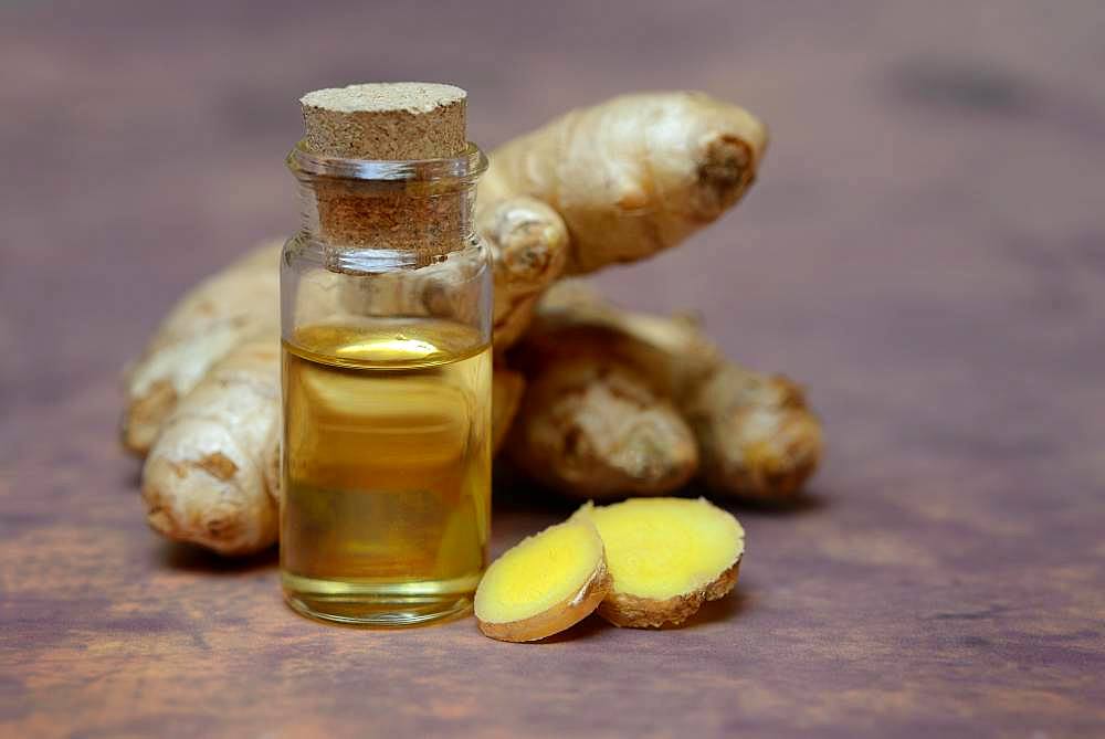 Ginger oil in vials and ginger root, Germany, Europe