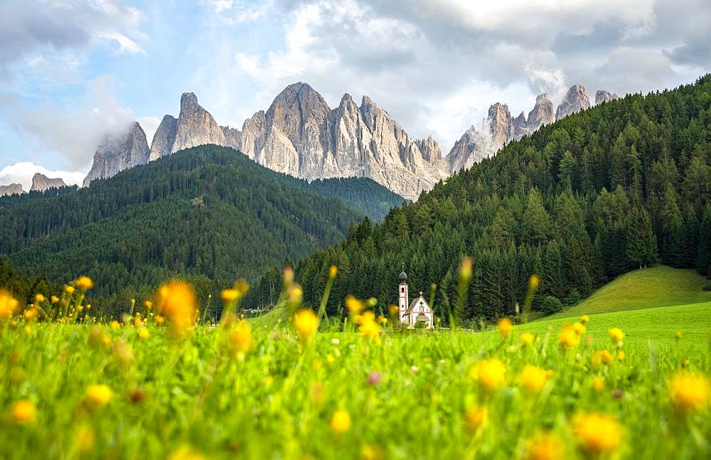 Church of St. John in Ranui with flower meadow, San Giovanni, St. John Chapel, Geisler Group, Villnoess valley, St. Magdalena, Bolzano, South Tyrol, Italy, Europe