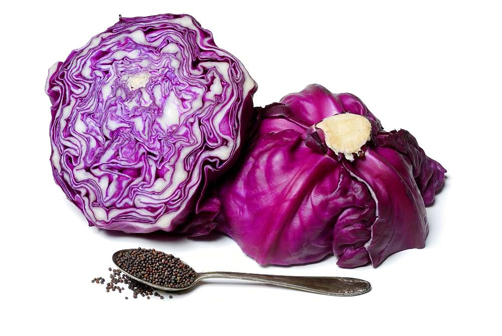 Red cabbage seeds in spoon and red cabbage, Germany, Europe