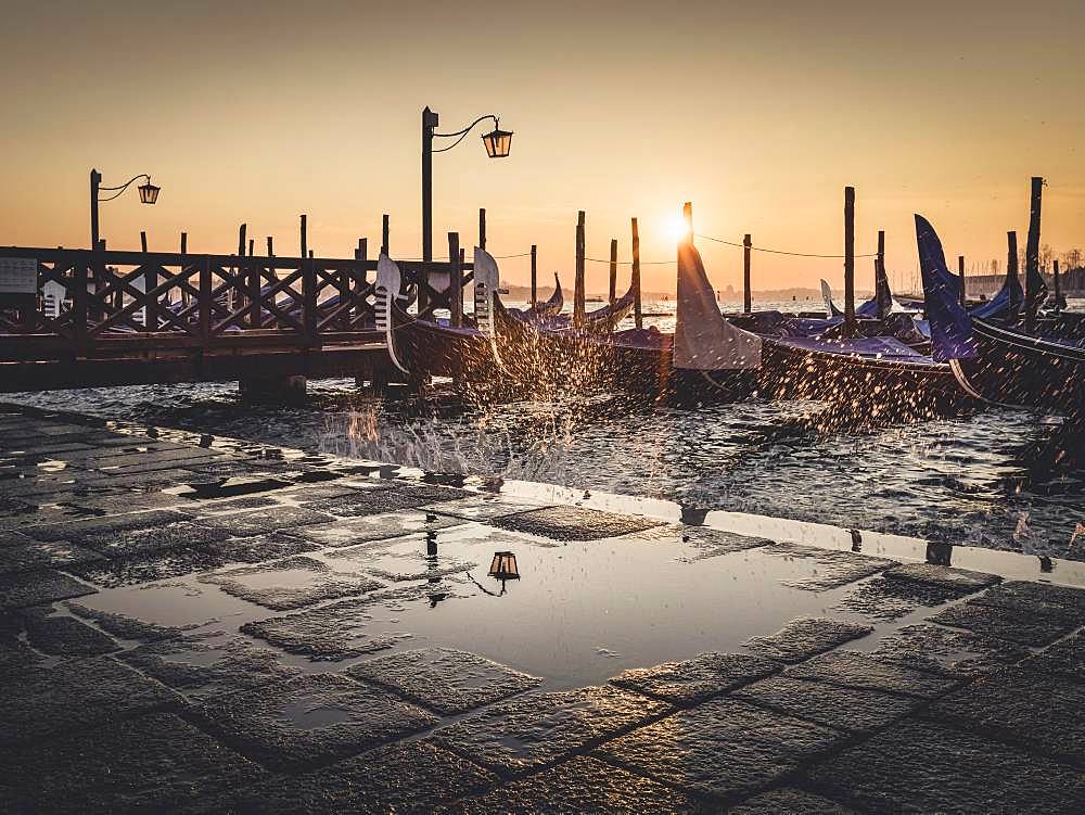 Goldeln at St Mark's Square at sunrise, Venice, Italy, Europe