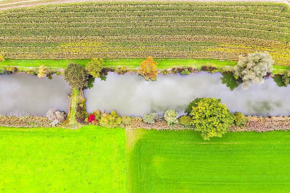 Fish ponds between cornfield and meadows from above, near Uebersee, Chiemgau, aerial view, Upper Bavaria, Bavaria, Germany, Europe