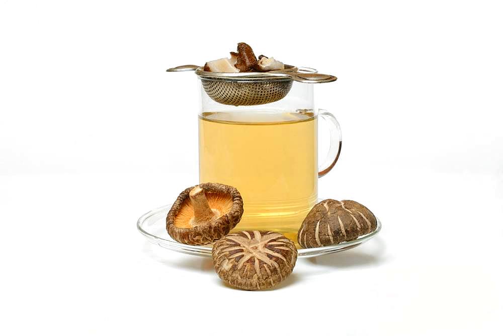 Shiitake tea in tea glass with tea strainer and shiitake mushrooms, Germany, Europe