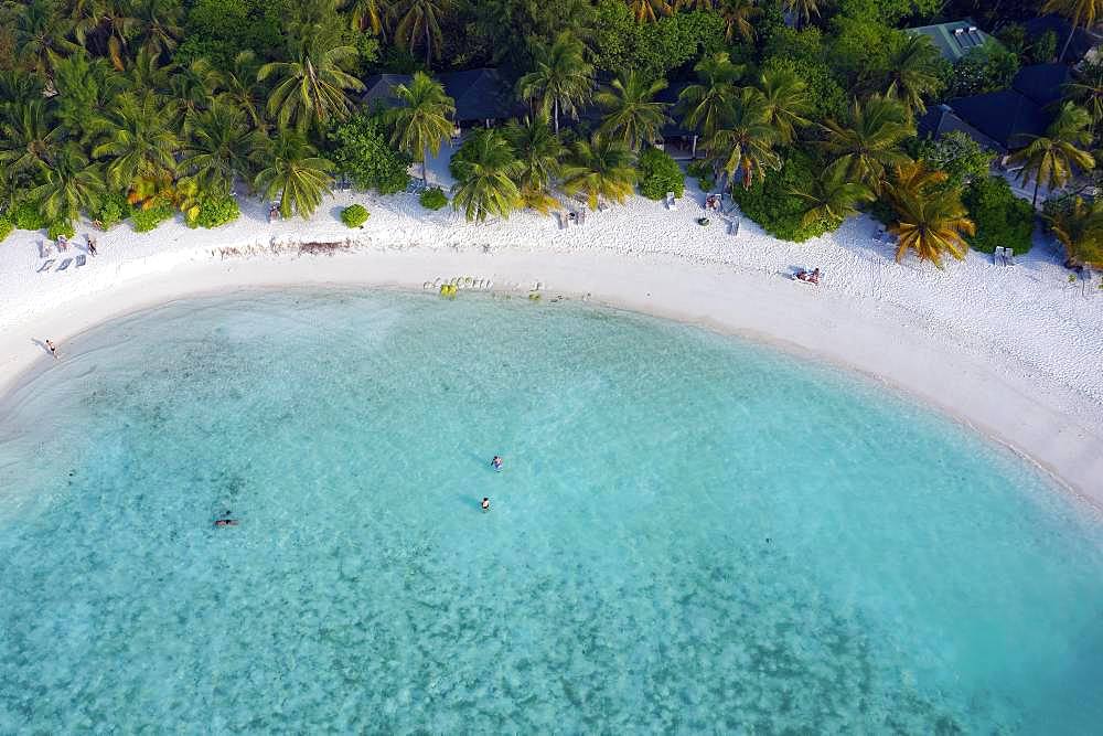 Bathing bay with sandy beach, lagoon and palm trees, Summer Island, North Male Atoll, Maldives, Asia