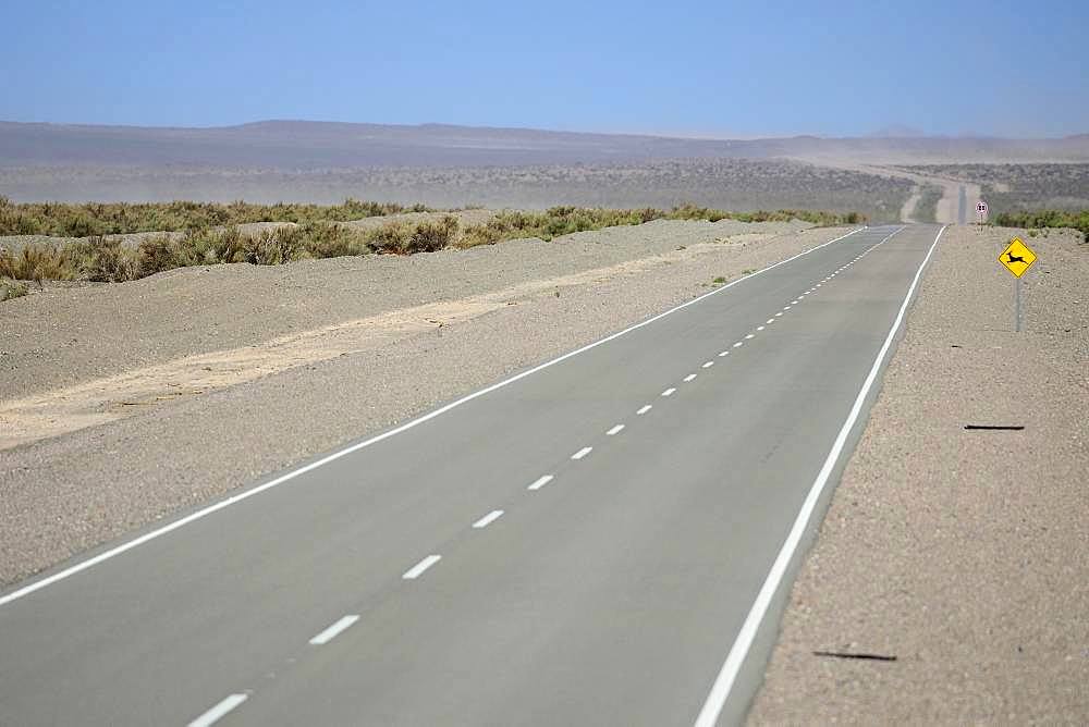 Lonely road through the plateau near Uspallata, Mendoza province, Argentina, South America