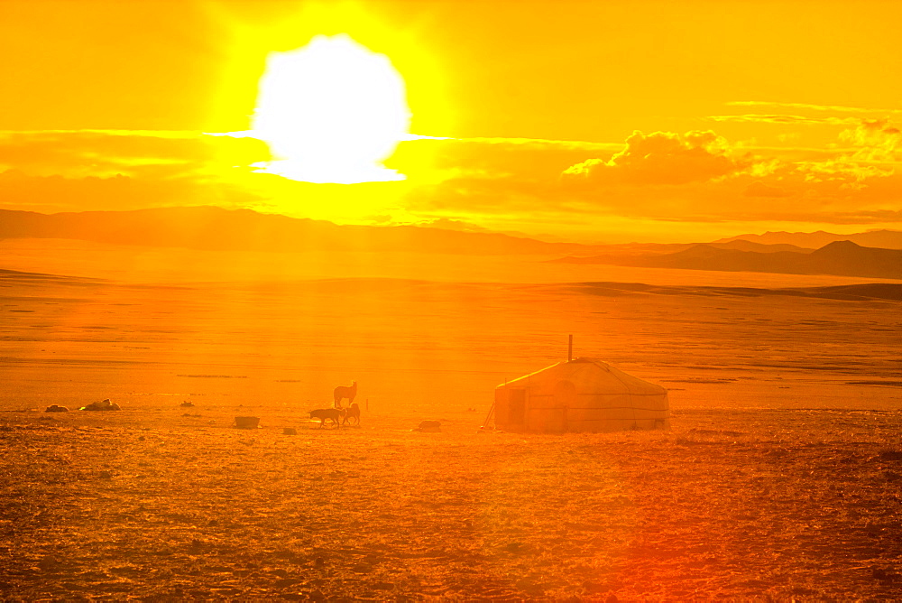 Yurt at sunset, nomadic life, Mongolian steppe, Mongolia, Asia