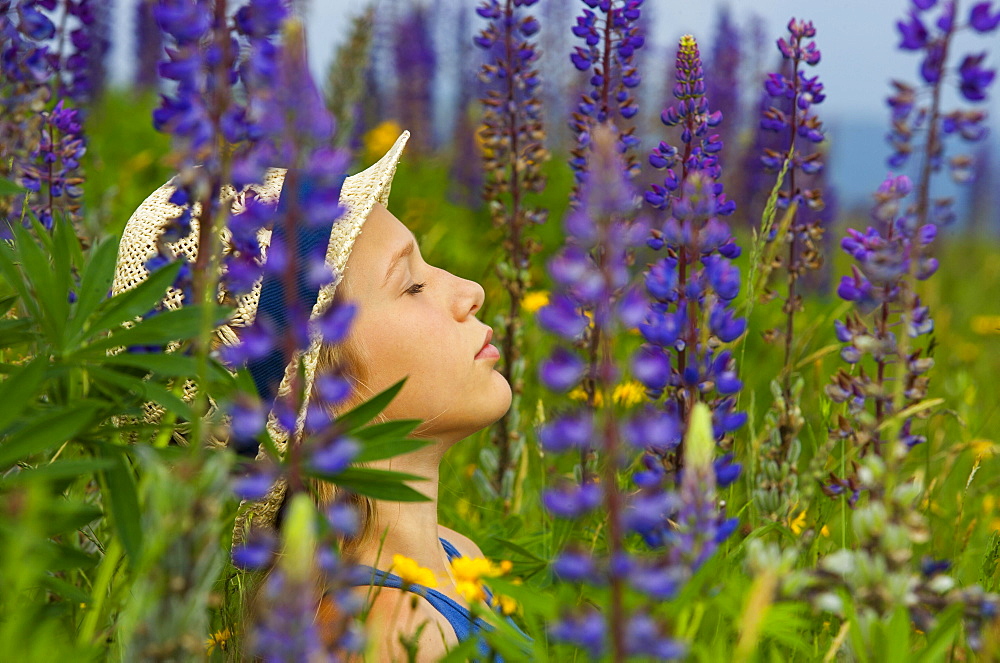 Portrait, girl sitting relaxed between flowering lupines, Upper Austria, Austria, Europe
