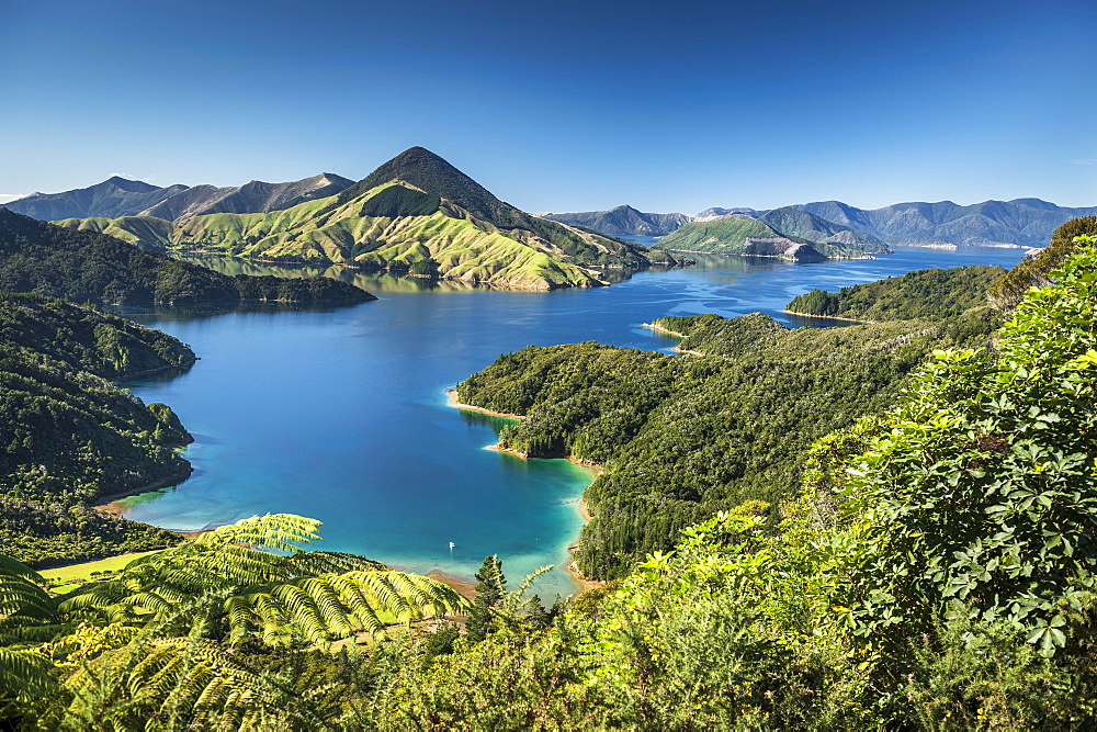 View over the Marlborough Sounds, turquoise sea, Havelock-Picton, Picton, Marlborough, New Zealand, Oceania
