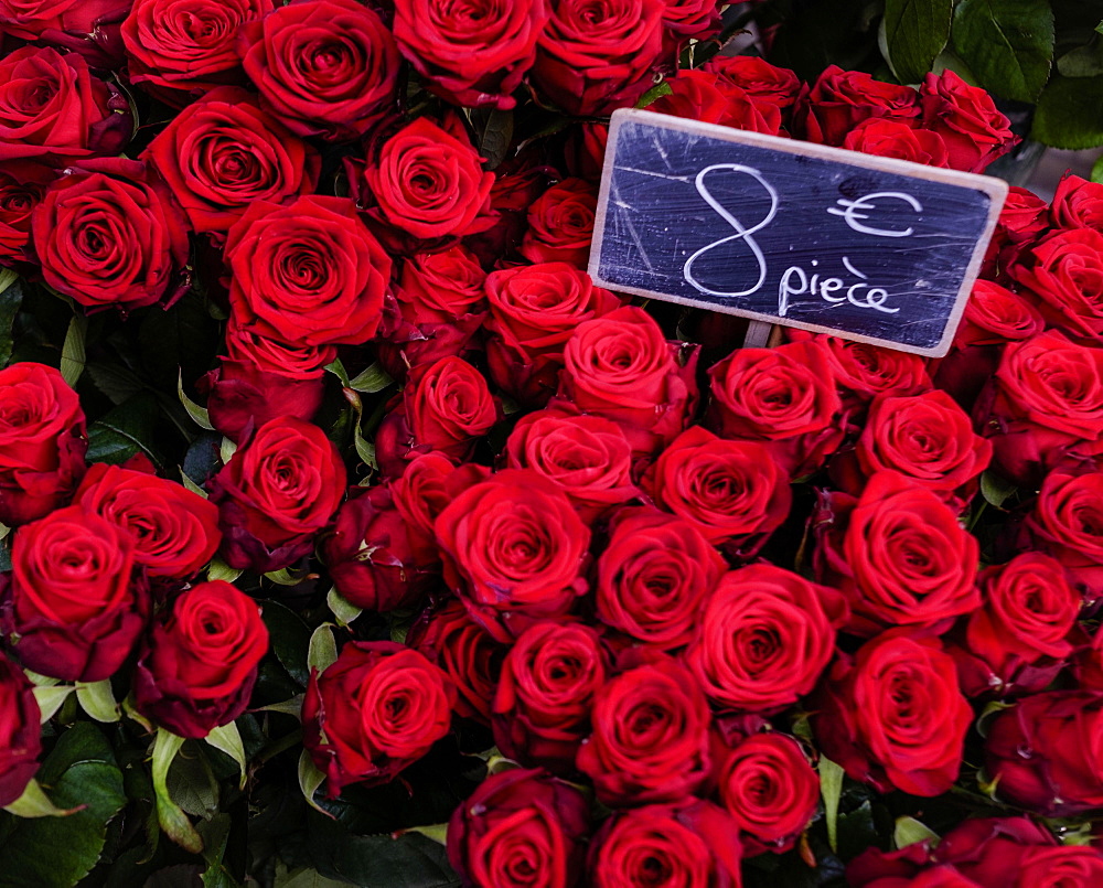 Red roses with price list on Valentine's Day, on offer in florist, Paris, France, Europe