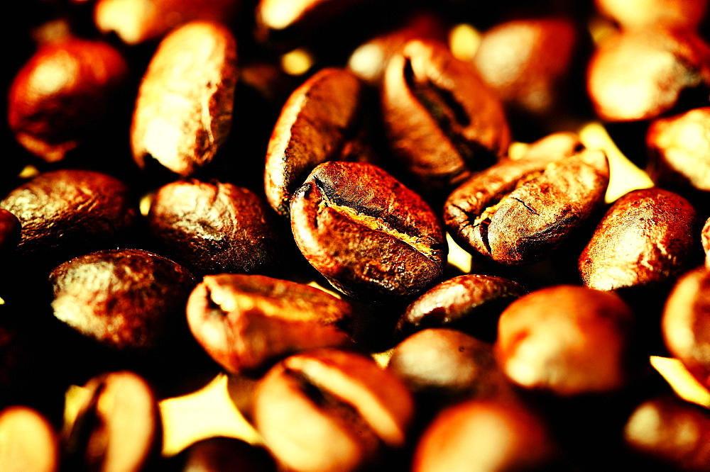 Roasted coffee beans, studio shot, Germany, Europe