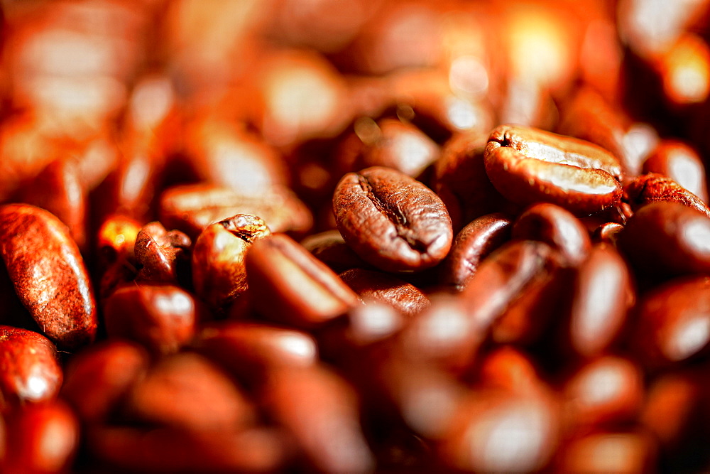 Roasted coffee beans, studio shot, Germany, Europe