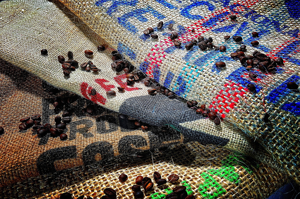 Roasted coffee beans, studio shot, Germany, Europe