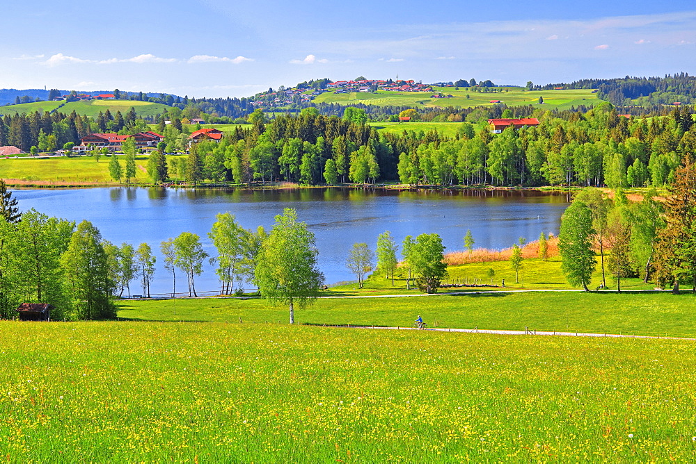 Early landscape with Lake Bayersoiener See, in the back village Schoenberg, Bad Bayersoien, Upper Bavaria, Bavaria, Germany, Europe