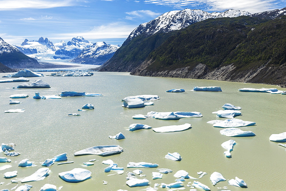 Glacial lake with small icebergs floating, Laguna San Rafael National Park, Aysen Region, Patagonia, Chile, South America