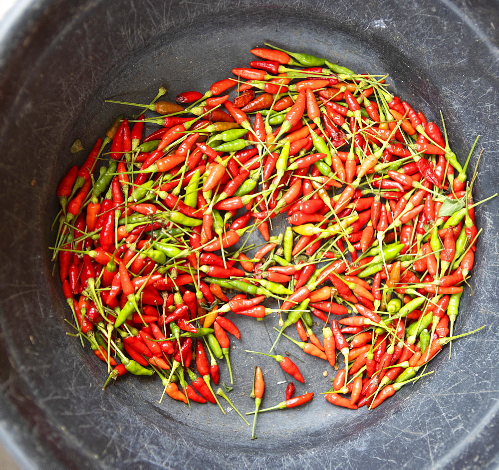 Red and green chili peppers, Lapu Lapu City, Cebu, Central Visayas, Philippines, Asia