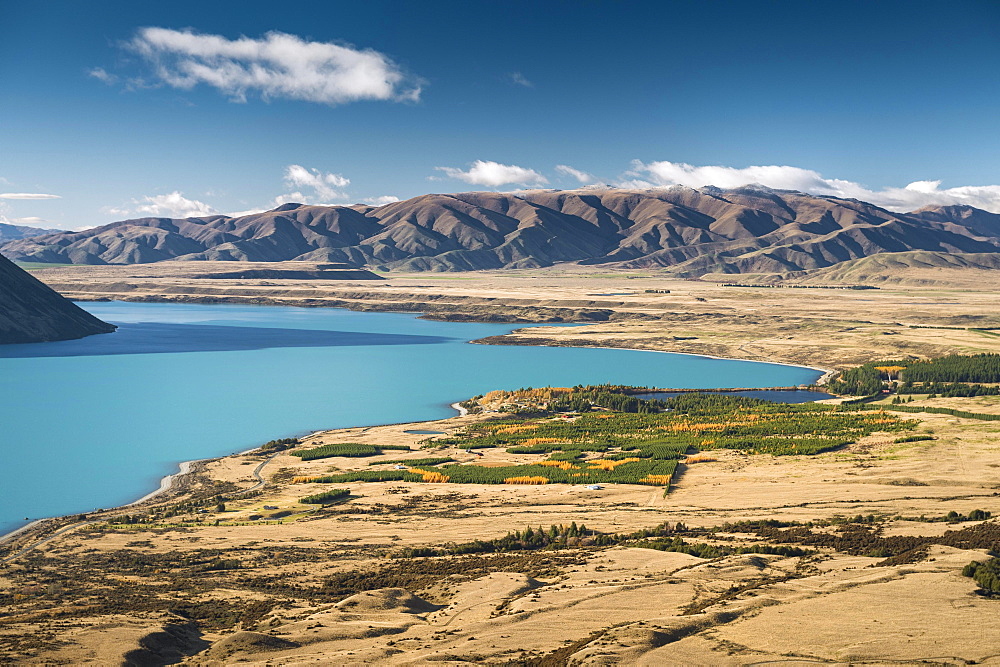 View over the turquoise Lake Ohau, Twizel, Canterbury, New Zealand, Oceania