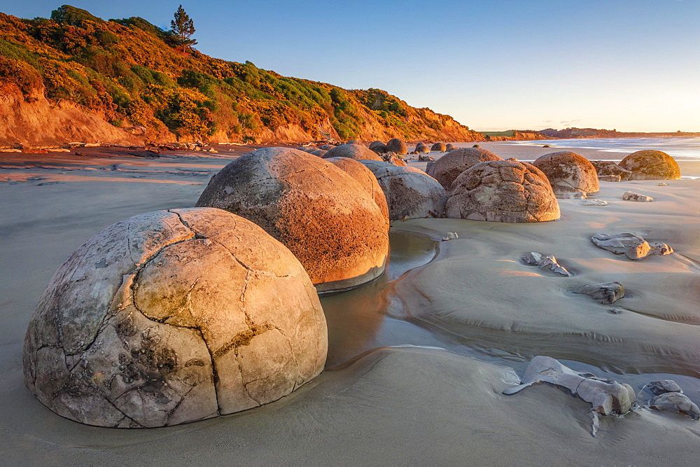 Moeraki Bolders, round rock balls, geological concretion, Hampden, Otago, New Zealand, Oceania