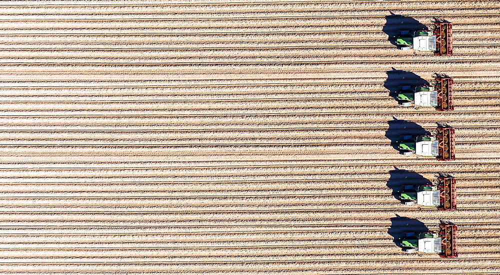 Aerial view of tractors ploughing fields in the agricultural sector, such as asparagus, Bergstrasse, Hesse, Germany, Europe