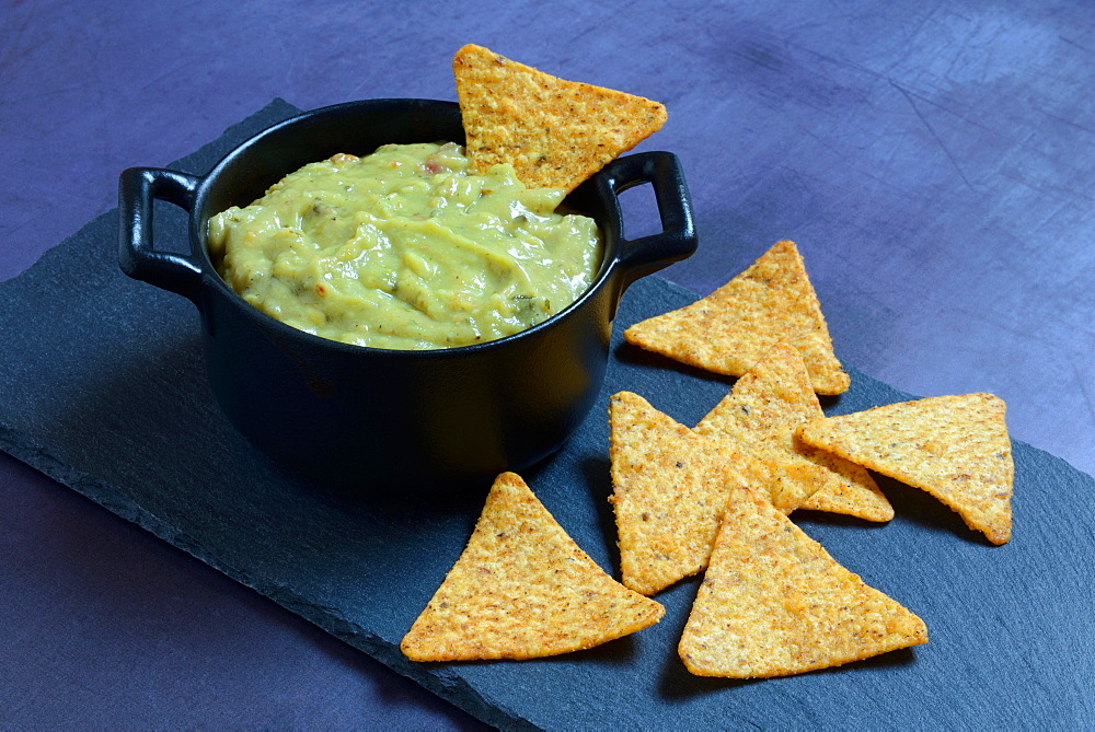 Guacamole in potty and tortilla chips, Germany, Europe