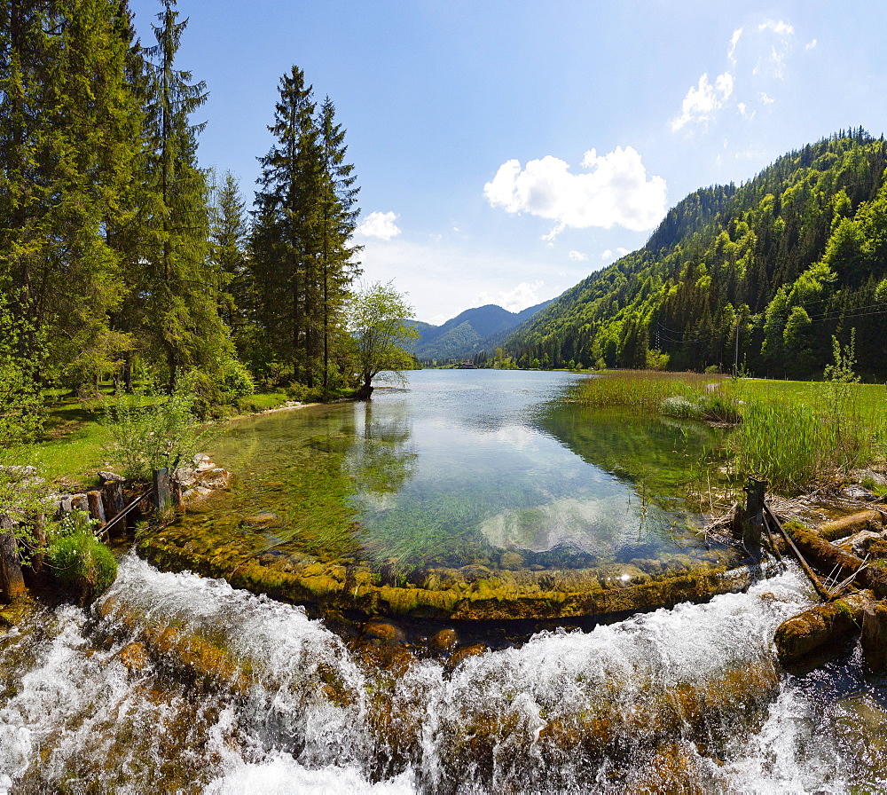 Mountain lake, Pillersee, Sankt Ulrich am Pillersee, Pillerseetal, Tyrol, Austria, Europe