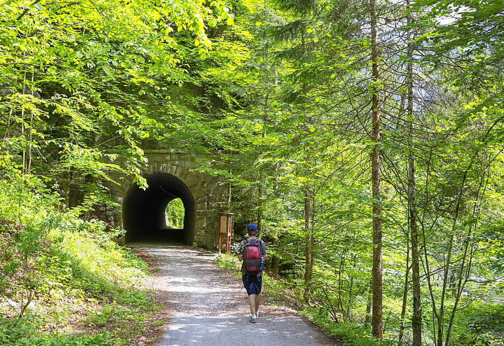 Koppental hiking trail from Obertraun to Bad Aussee, river Koppentraun, railway tunnel of the old route, Salzkammergut, Upper Austria, Austria, Europe