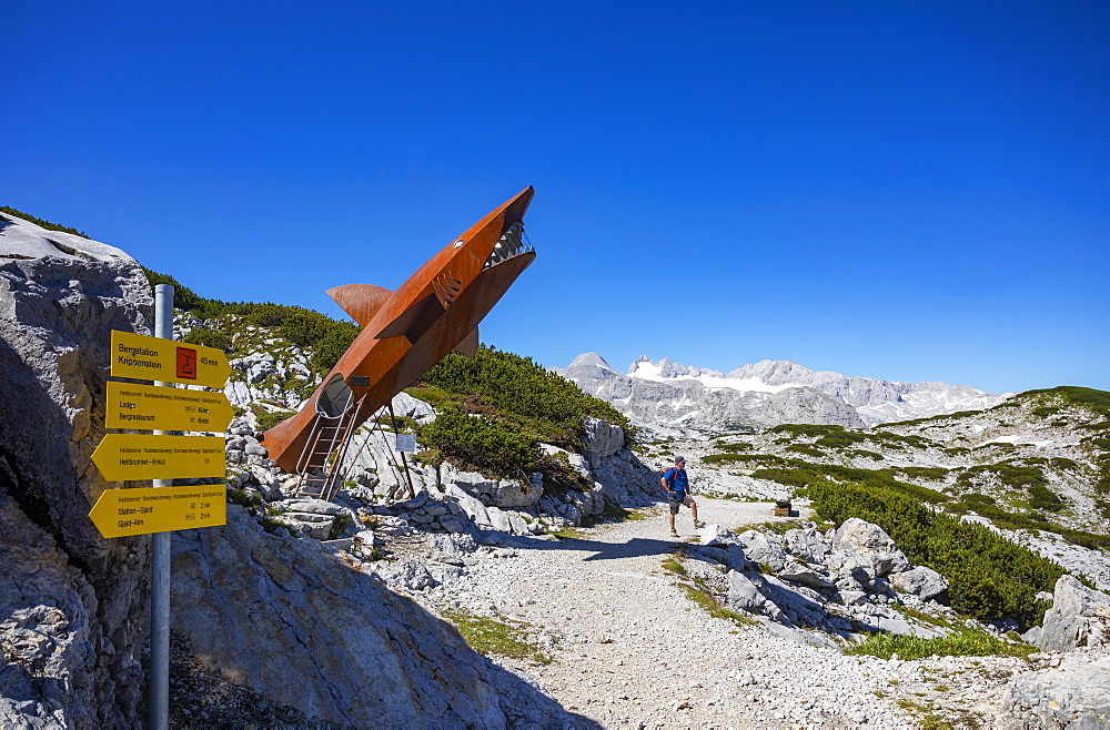 Hikers on the Heilbronn circular hiking trail in front of the Dachstein shark sculpture, behind it the Hoher Dachstein, Karst hiking trail, Krippenstein, Dachstein massif, Salzkammergut, Upper Austria, Austria, Europe