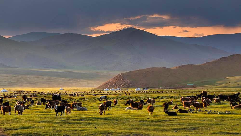 Peaceful evening. Mount Tsambagarav summer camp. Bayan-Ulgii province. Mongolia