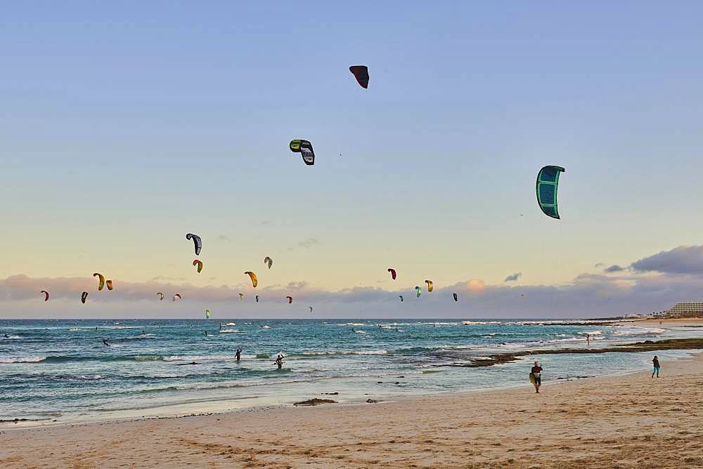 Many kitesurfers on the beach of Playa del Pozo, Fuerteventura, Canary Islands, Spain, Europe