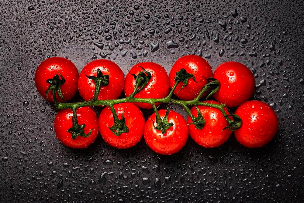 Cherry tomatoes with drops of water, black background, studio shot, Austria, Europe