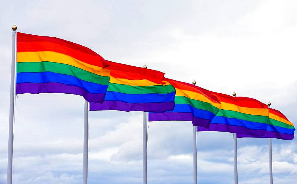 Photo of LGBTQ colored flags, LGBTQ flags with copy space