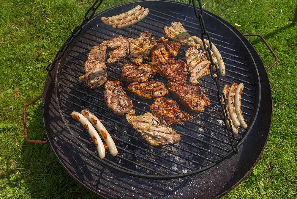 Finished barbecue on a swivel grill, Mecklenburg-Western Pomerania, Germany, Europe