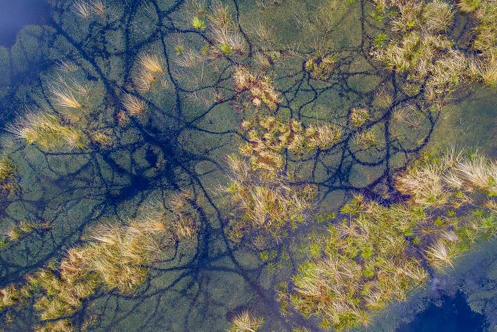 Aerial view, vegetation and bog ponds, Goldenstedter Moor, Oldenburger Muensterland, Lower Saxony, Germany, Europe