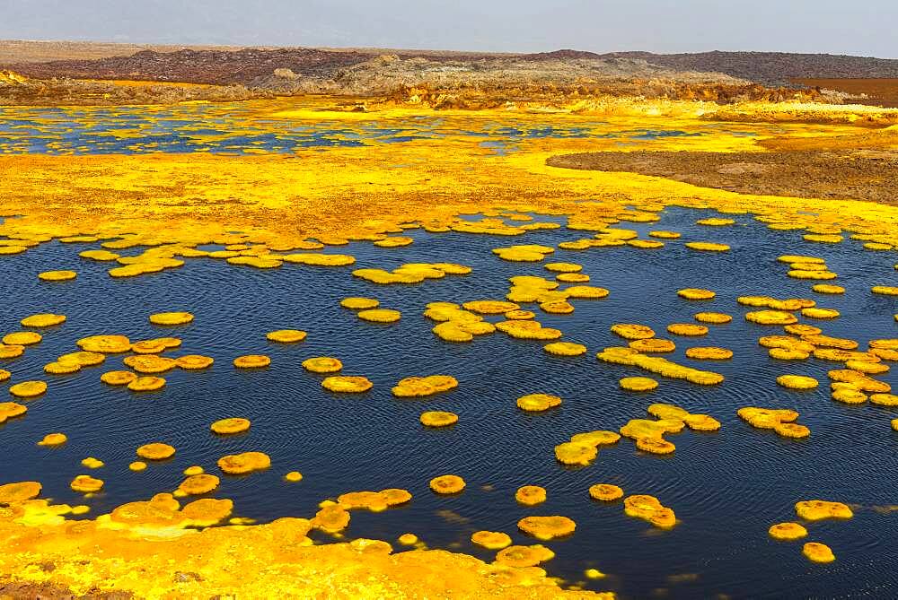 Geothermal area with sulphur deposits and acidic brines, Dallol, Danakil depression, Ethiopia, Africa