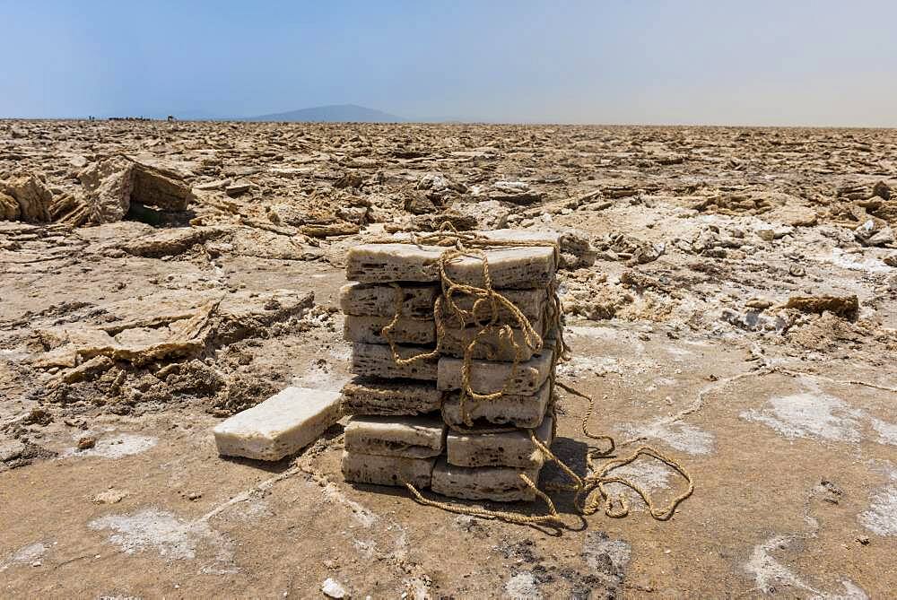 Stacked salt plates, dry salt lake at Dallol, Danakil Depression, Afar Region, Ethiopia, Africa