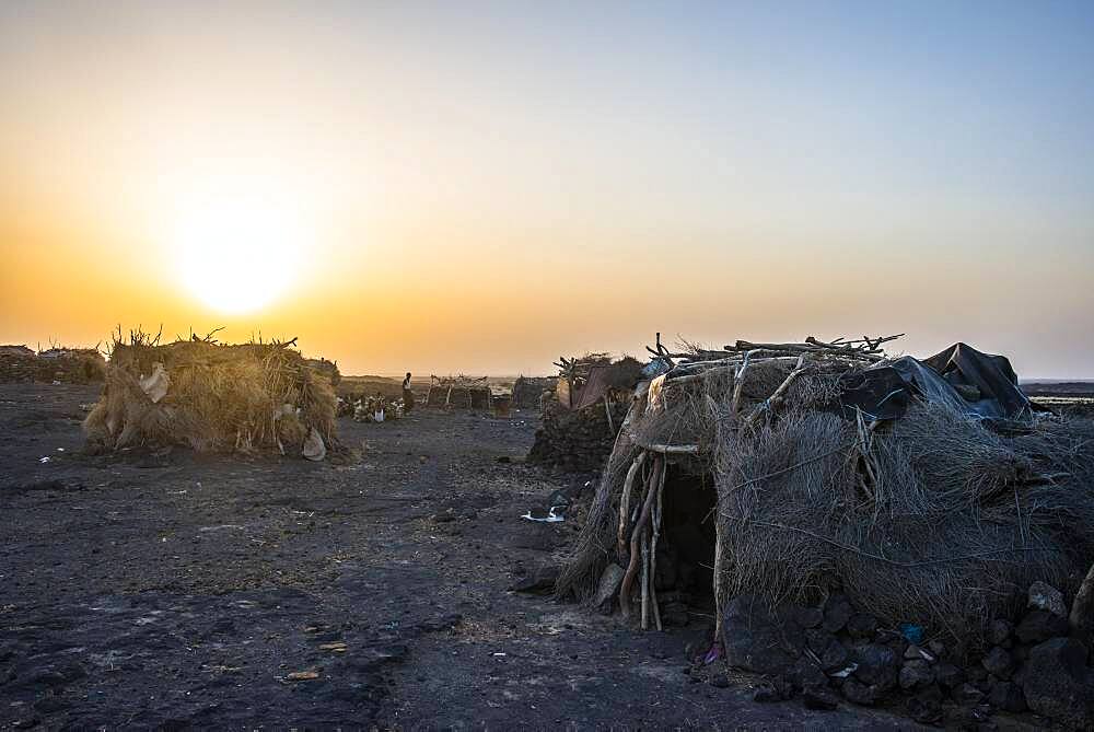 Village with huts of the Afar nomads at sunset, Danakil Depression, Afar Region, Ethiopia, Africa