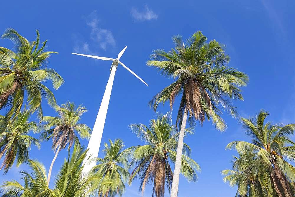 Wind turbine surrounded by palm trees, Koh Tao, Thailand, Asia